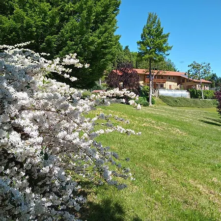 L'albore Bed & Breakfast