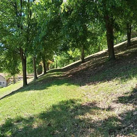 L'albore 3* Costigliole Saluzzo