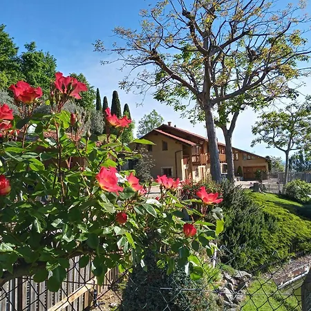L'albore Bed & Breakfast Costigliole Saluzzo