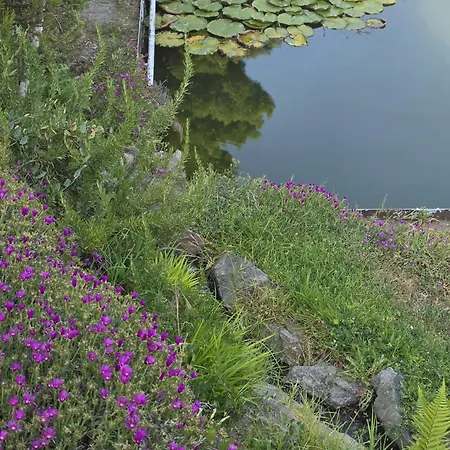 فندق مبيت وإفطار L'albore 3*